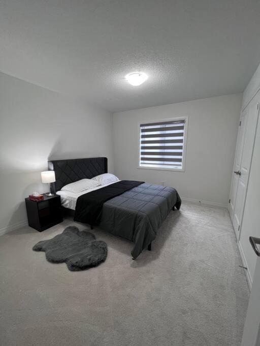 Brand New 4 Bedroom Villa By Hamilton Airport! Екстериор снимка